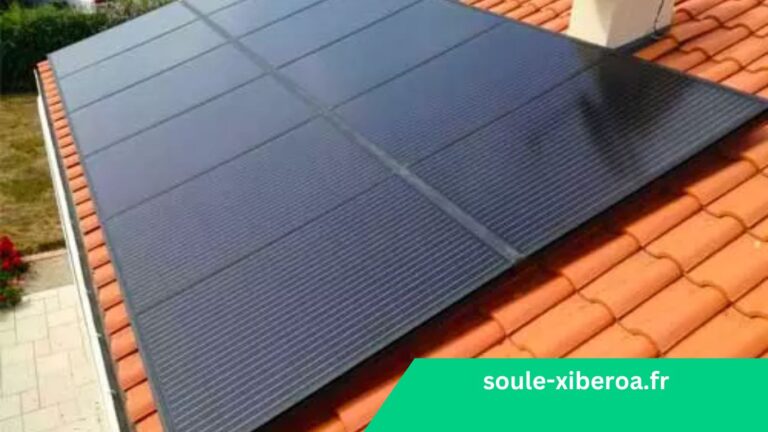 Installation de Panneaux Solaires pour Maison de 100 m² : Guide Complet et Prix