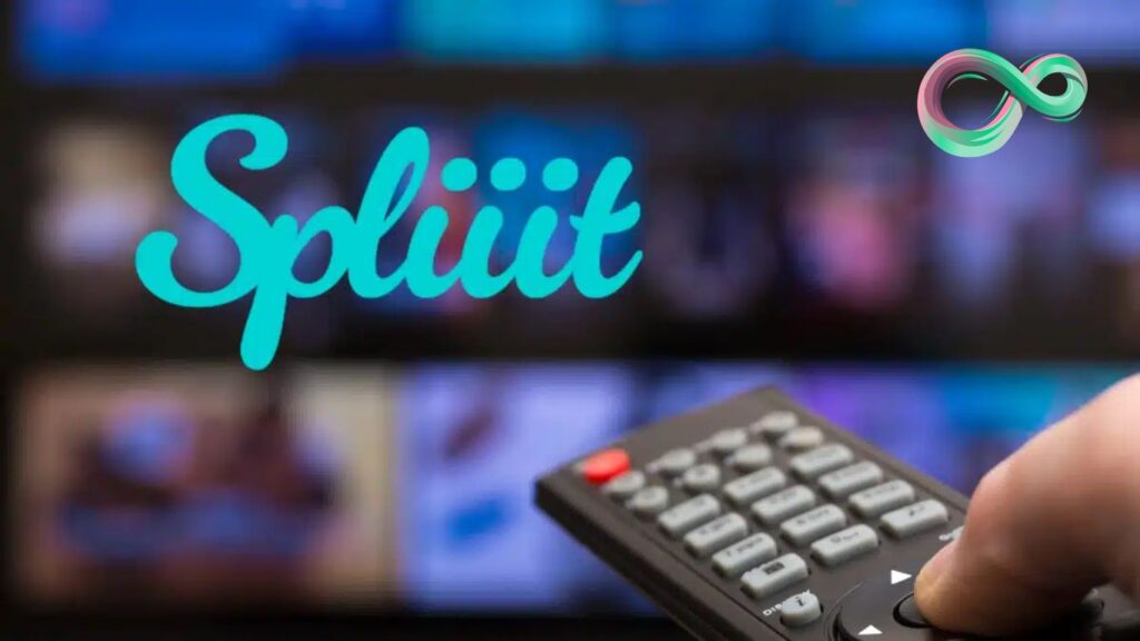 Sharesub Avis : Comparatif avec Spliiit et Diivii pour Partager Vos Abonnements Netflix et Spotify